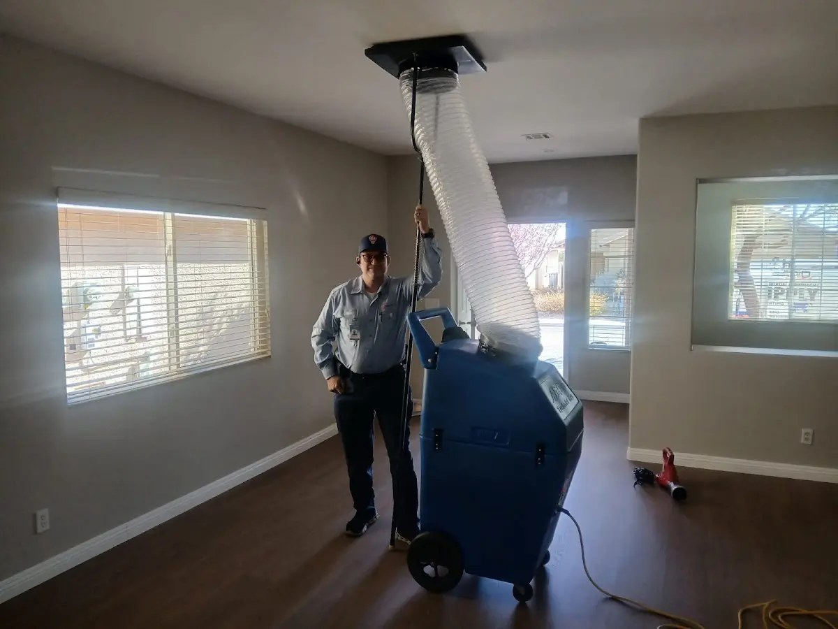Professional Dryer Vent Cleaning work inside a Lake Bluff home